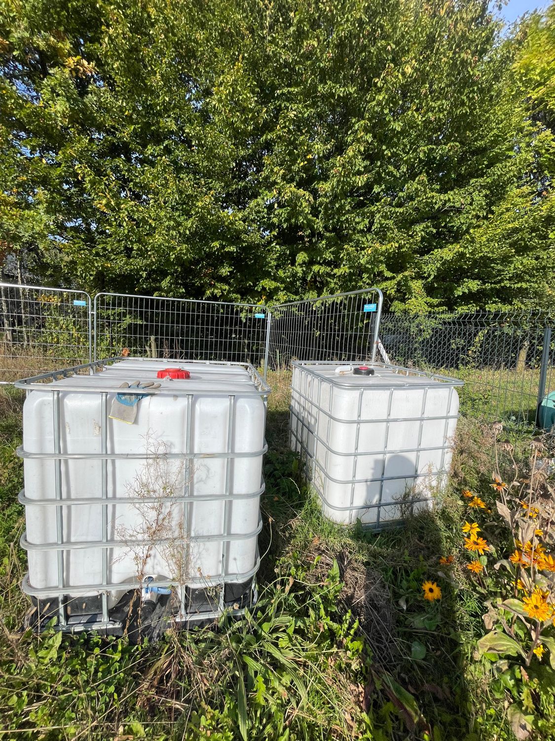 Zbiorniki, kosiarka i pergola w ogrodzie